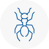 Ant Removals In Arbroath