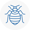 Bed Bug Extermination In Arbroath