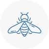 Bee Nest Removal Arbroath