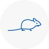 Mice Exterminators In Arbroath