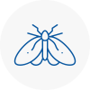 Moth Control Specialists In Arbroath