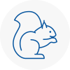 Arbroath Rodent Removals